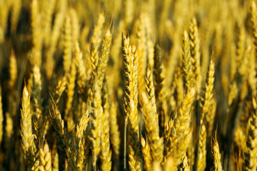 Similar image 1193554