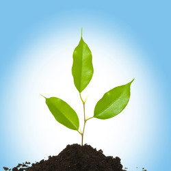 Similar image 1193558