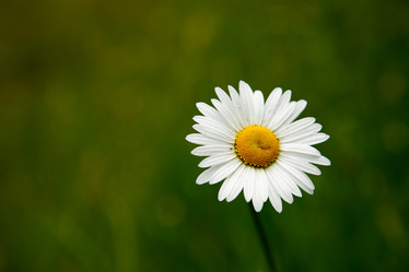 Similar image 1193564