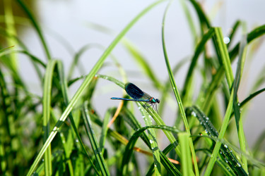 Similar image 1193567