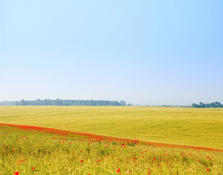 Similar image 1193568