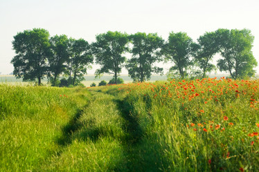 Similar image 1193569