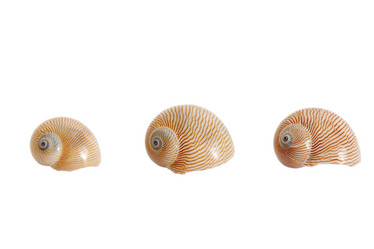 Similar image 1193578