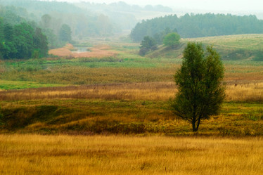 Similar image 1193624