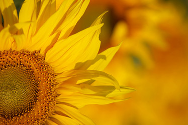 Similar image 1193638