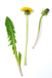 Similar image 1193646