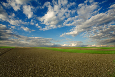 Similar image 1193651