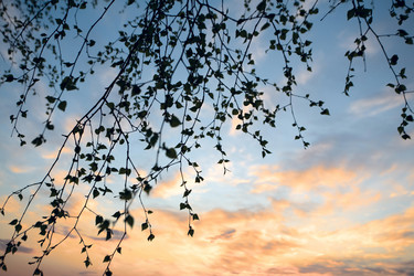 Similar image 1193656