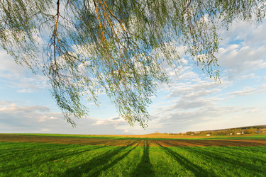 Similar image 1193663