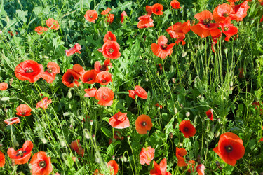 Similar image 1193665