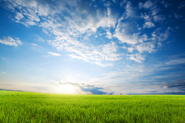 Similar image 1193666