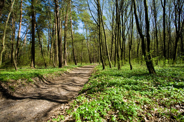 Similar image 1193670