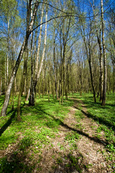 Similar image 1193671