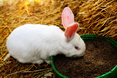 Similar image 1193681