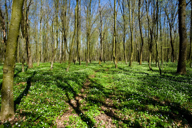 Similar image 1193682