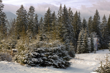 Similar image 1193683