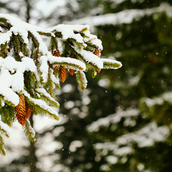 Similar image 1193684