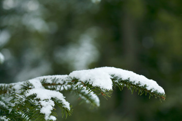 Similar image 1193685