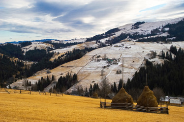 Similar image 1193690