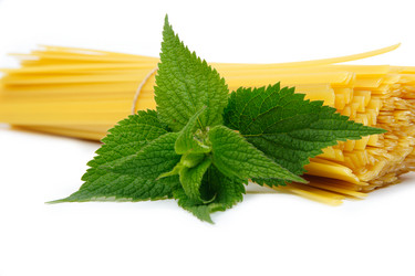 Similar image 1193697