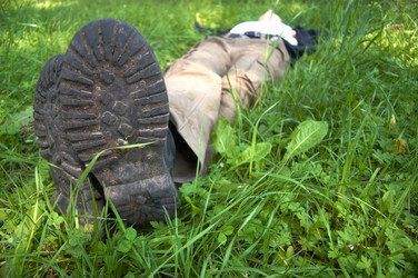 Similar image 1193721