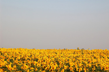 Similar image 1193724