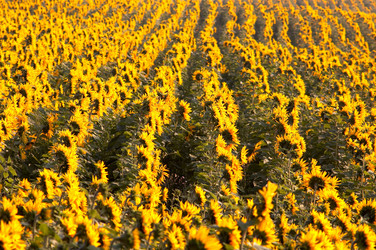 Similar image 1193725