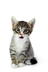 Similar image 1193729