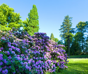 Similar image 1193740