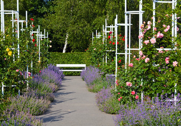 Similar image 1193749