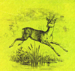 Similar image 1193759