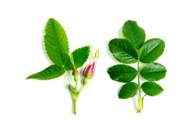 Similar image 1193775