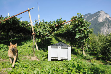 Similar image 1193787