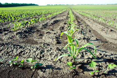 Similar image 1193788