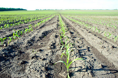 Similar image 1193789