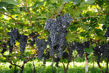 Similar image 1193819