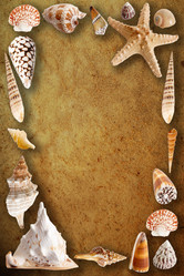 Similar image 1193836