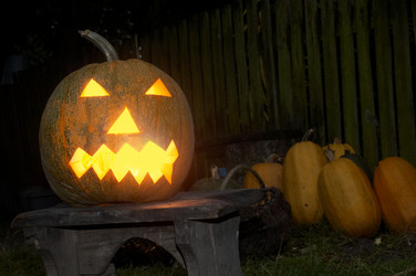 Similar image 1193837