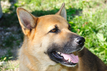 Similar image 1193841