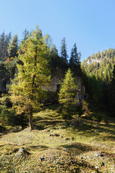 Similar image 1193849