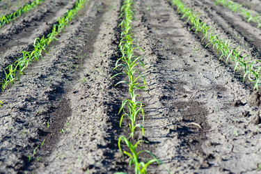 Similar image 1193853