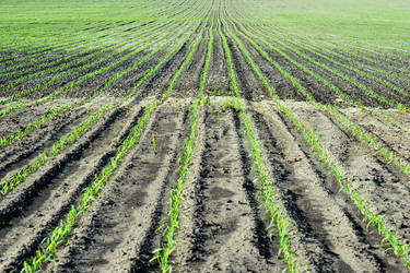 Similar image 1193860