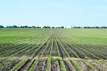 Similar image 1193861