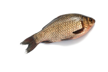 Similar image 1193869