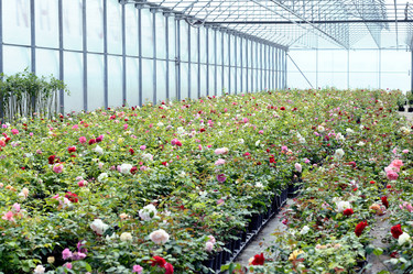 Similar image 1193872