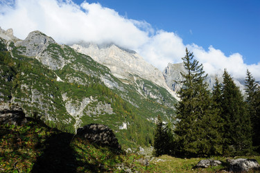 Similar image 1193880