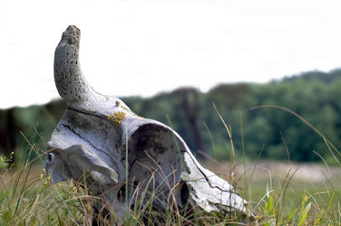 Similar image 1193910