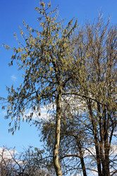 Similar image 1193912