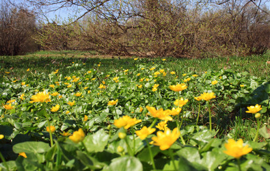 Similar image 1193913