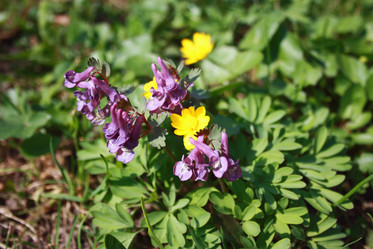 Similar image 1193914